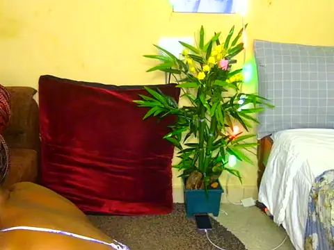 Naughtygal98 online show from 07.07.26