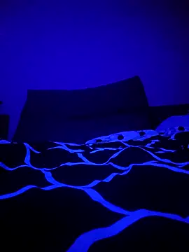 Snapshot of McdyllanXX chatting on 01.11.25 McdyllanXX online show from 01.11.25