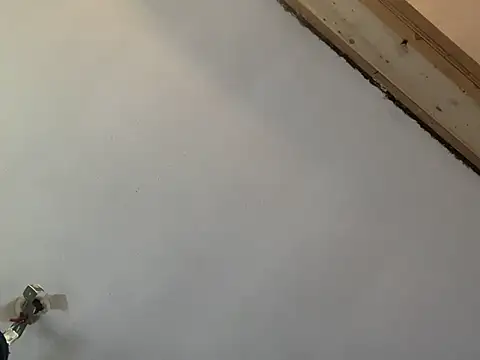 Snapshot of Brando2585 chatting on 03.07.26 Brando2585 online show from 03.07.26