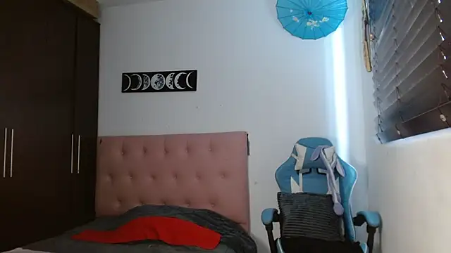 Snapshot of TokioStar chatting on 01.07.25 TokioStar online show from 01.07.25