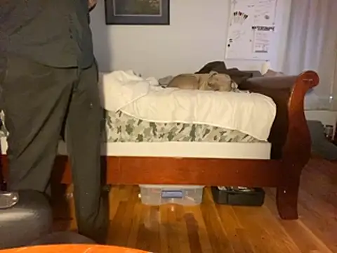 Snapshot of flexingplexico chatting on 01.14.26 flexingplexico online show from 01.14.26