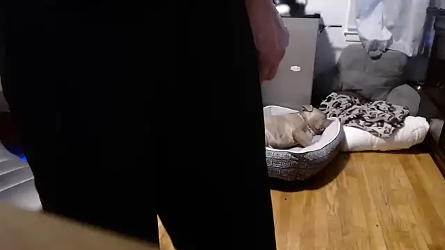 Snapshot of flexingplexico chatting on 02.16.26 flexingplexico online show from 02.16.26