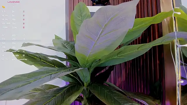 Anybuny online show from 01.20.25