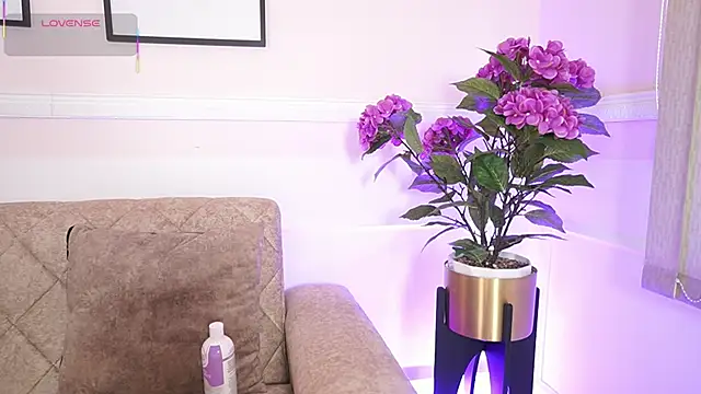 Anybuny online show from 12.18.25