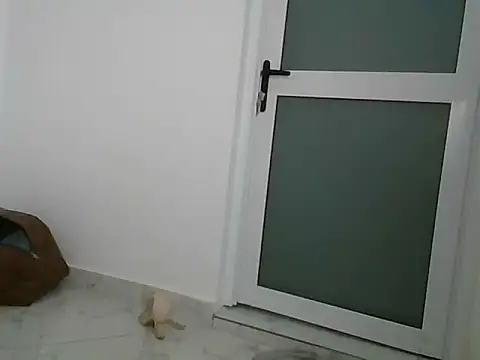 lugari online show from 12.21.24