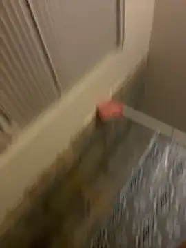 Snapshot of prettlovely14 chatting on 02.20.26 prettlovely14 online show from 02.20.26