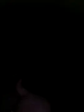 Off the Lesh online show from 11.25.25