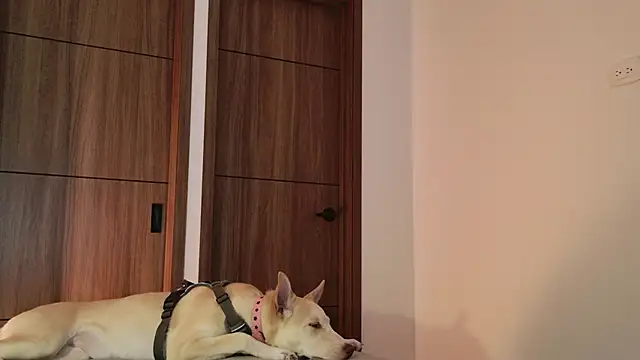 Hot Couple666 online show from 09.09.25