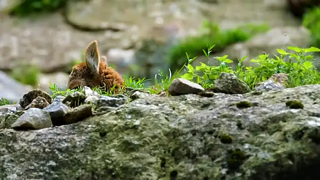 Snapshot of streamy_test11 chatting on 02.07.25 streamy test11 online show from 02.07.25