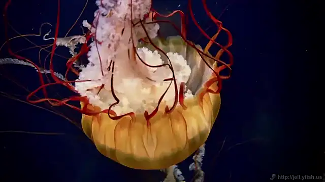 Snapshot of streamy_test15 chatting on 11.27.25 streamy test15 online show from 11.27.25