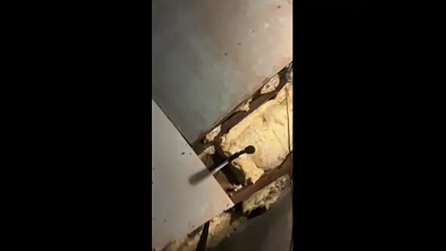 Snapshot of Manwhorxxlcock chatting on 03.03.26 Manwhorxxlcock online show from 03.03.26