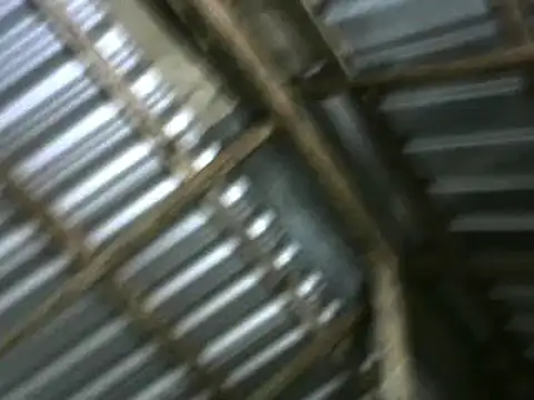 michel sc online show from 10.05.25