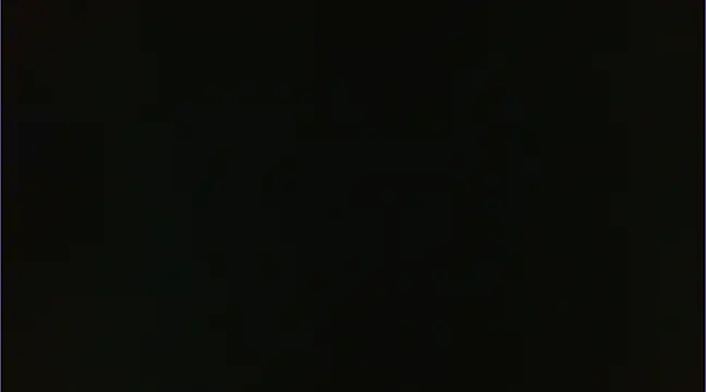 Snapshot of Geisha_Seniers chatting on 01.14.25 Geisha Seniers online show from 01.14.25