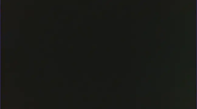 Snapshot of Geisha_Seniers chatting on 02.15.25 Geisha Seniers online show from 02.15.25