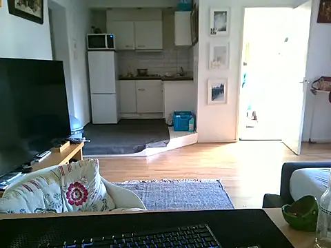 mihaimichael online show from 04.29.26