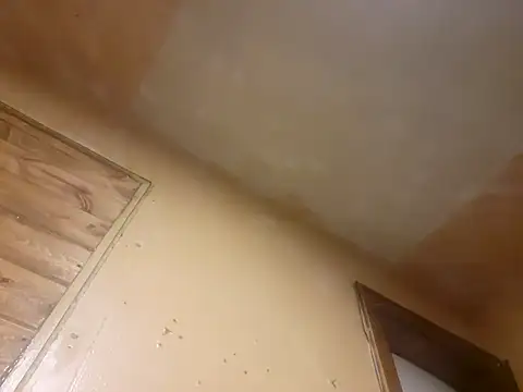 Snapshot of BigDDave6979 chatting on 03.13.25 BigDDave6979 online show from 03.13.25