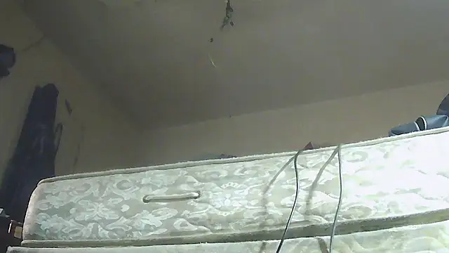 pipeload1275 online show from 01.13.26