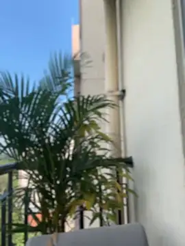 Pretty Isadora online show from 02.04.26