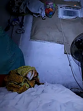 The-quee22 online show from 10.11.25