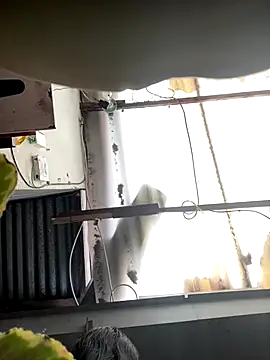 luna asss online show from 10.25.25