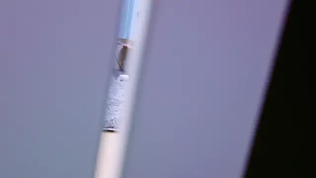 Snapshot of HaruruHappy chatting on 01.18.25 HaruruHappy online show from 01.18.25