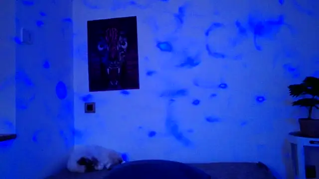 ValeryCrowley14 online show from 01.15.26