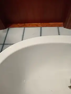 Snapshot of Durovoglioso2 chatting on 03.15.26 Durovoglioso2 online show from 03.15.26