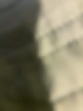 Snapshot of Ariel_Ari chatting on 12.31.24 Ariel Ari online show from 12.31.24