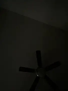 Snapshot of goldbuni chatting on 12.08.24 goldbuni online show from 12.08.24