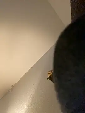 Snapshot of goldbuni chatting on 12.30.24 goldbuni online show from 12.30.24