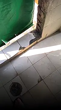 Snapshot of mendelicius chatting on 02.15.26 mendelicius online show from 02.15.26