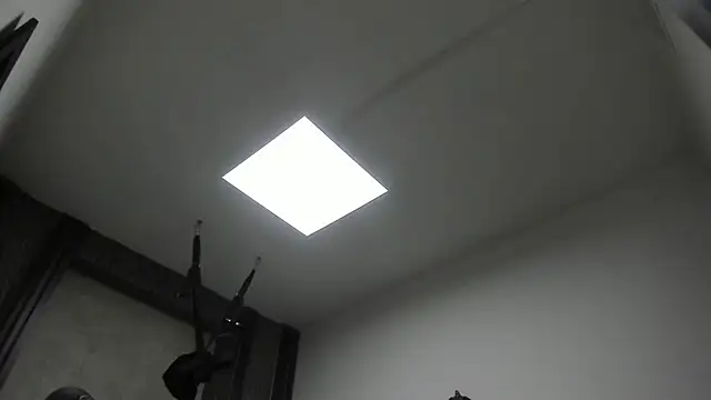 selene red  online show from 02.03.26