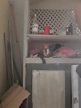 Snapshot of theDemente18 chatting on 11.30.25 theDemente18 online show from 11.30.25