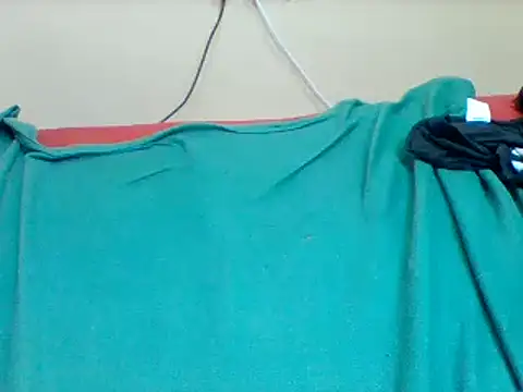 Snapshot of Pritdoly chatting on 03.11.25 Pritdoly online show from 03.11.25