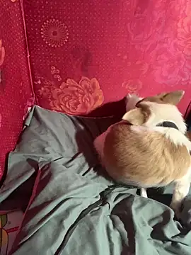 misu09 online show from 11.01.25