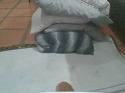 Snapshot of MrPatrick777 chatting on 02.04.26 MrPatrick777 online show from 02.04.26