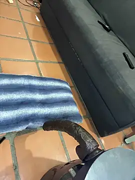 Snapshot of MrPatrick777 chatting on 04.02.26 MrPatrick777 online show from 04.02.26