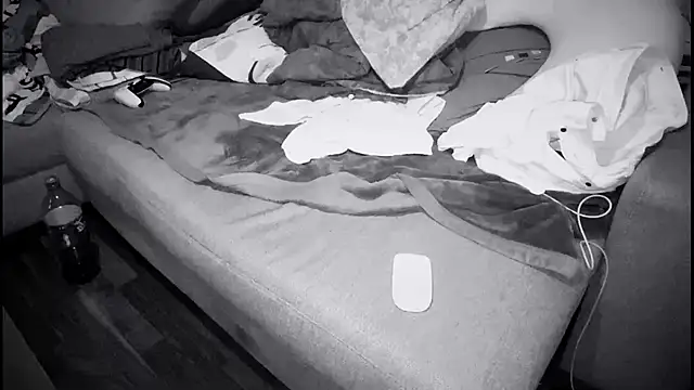 Snapshot of swissMen_DE chatting on 02.13.25 swissMen DE online show from 02.13.25