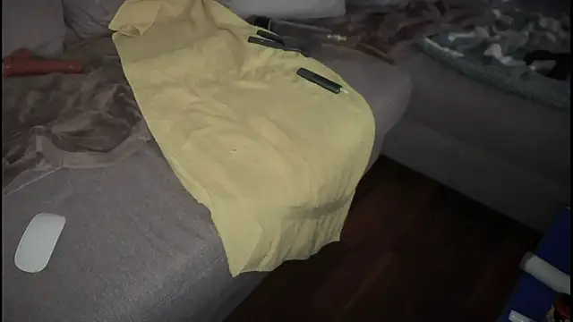 Snapshot of swissMen_DE chatting on 02.19.25 swissMen DE online show from 02.19.25