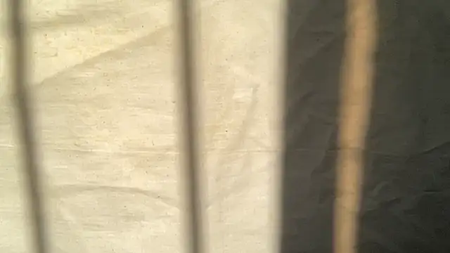 beforeyou69 online show from 11.06.25