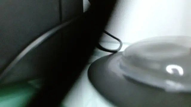 shaneelle online show from 07.31.26