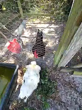 Snapshot of Mistress_Melissa chatting on 02.04.25 Mistress Melissa online show from 02.04.25