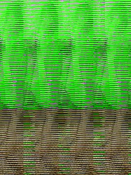 Snapshot of HimiJim chatting on 11.10.25 HimiJim online show from 11.10.25