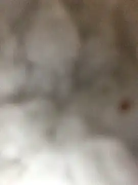 indie-rayne online show from 01.03.25