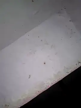 Srmotrs online show from 02.03.26