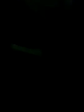 gurilove online show from 11.16.25