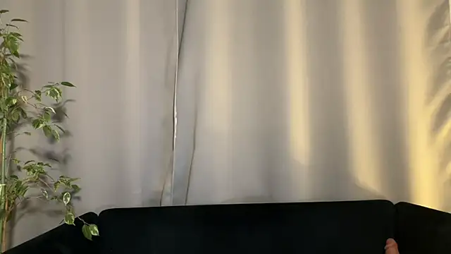 weshycouple online show from 02.02.25