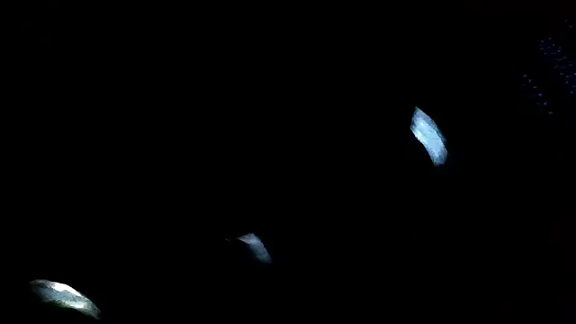 Antoniothedon online show from 01.16.25