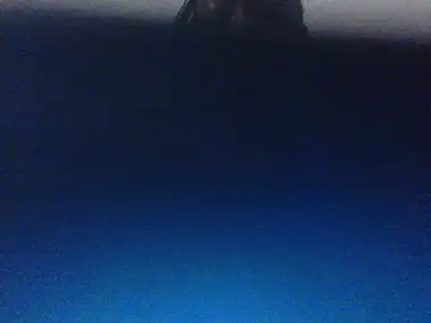 Cinderella Jewels  online show from 01.05.25