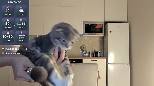 Snapshot of fairy_di chatting on 12.23.24 fairy di online show from 12.23.24